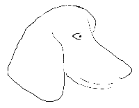 Lazy Dog Acres Store